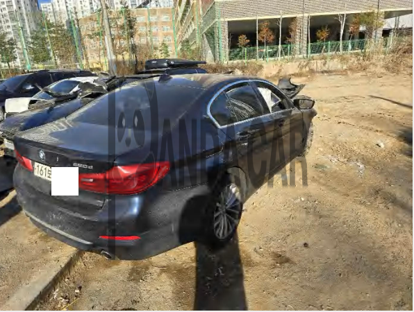 2020 BMW 520d Luxury, photograph 3