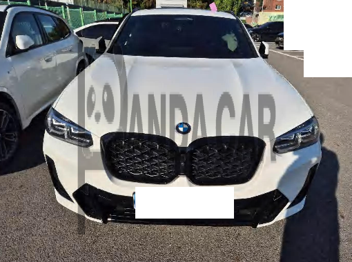 2025 BMW X4 xDrive20i, photograph 6