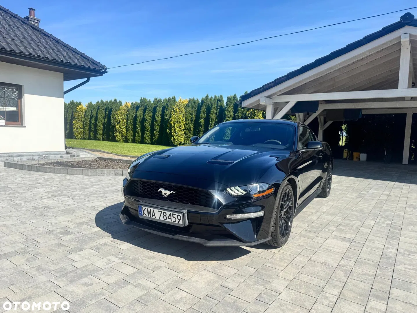 Ford Mustang — photo 1 of 6
