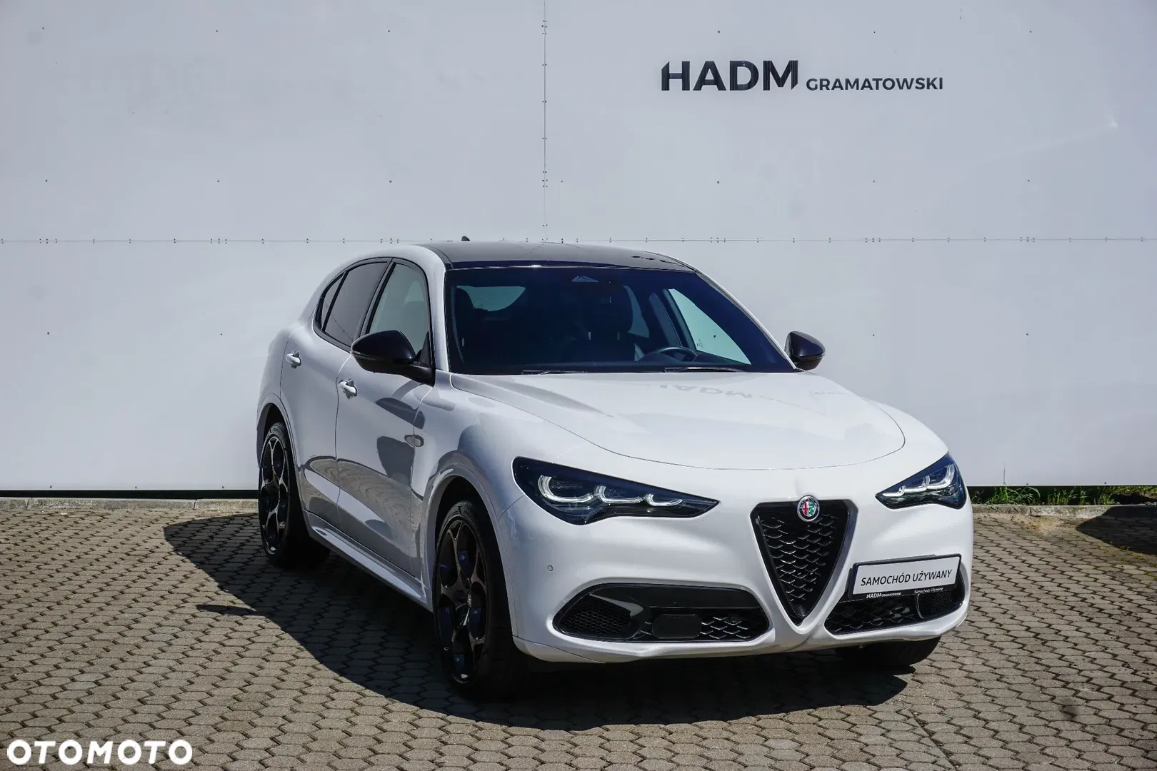 2024 Alfa Romeo Stelvio 2.0 Turbo Tributo Italiano Q4, photograph 10