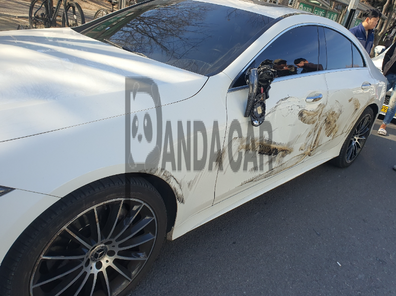 2019 Mercedes-Benz CLS400 d 4Matic, photograph 7