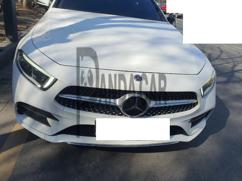 2019 Mercedes-Benz CLS400 d 4Matic, photograph 5