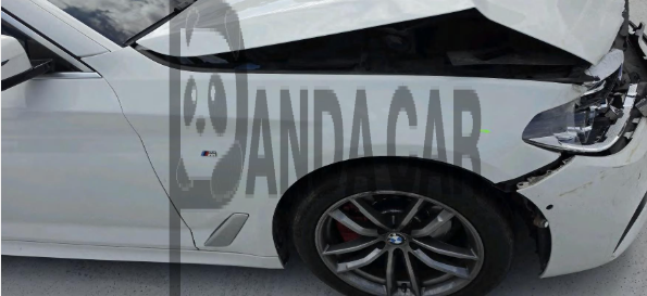 2020 BMW 520d xDrive M Sport Package, photograph 5