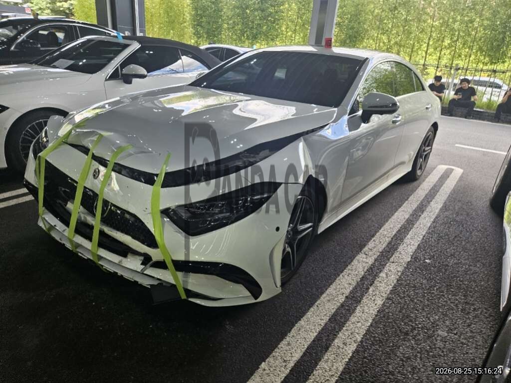 2023 Mercedes-Benz CLS300 d 4MATIC, photograph 4