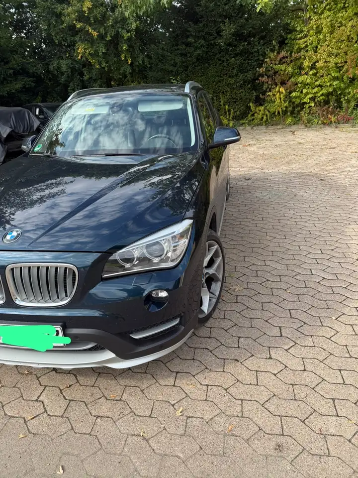 2014 BMW X1 xDrive 18 d, photograph 2