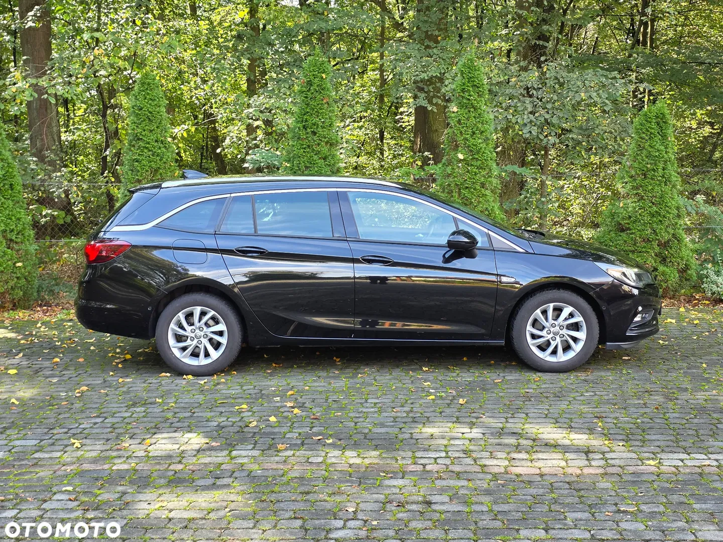 2017 Opel Astra 1.6 CDTI DPF ecoFLEX Start/Stop Exklusiv, photograph 7