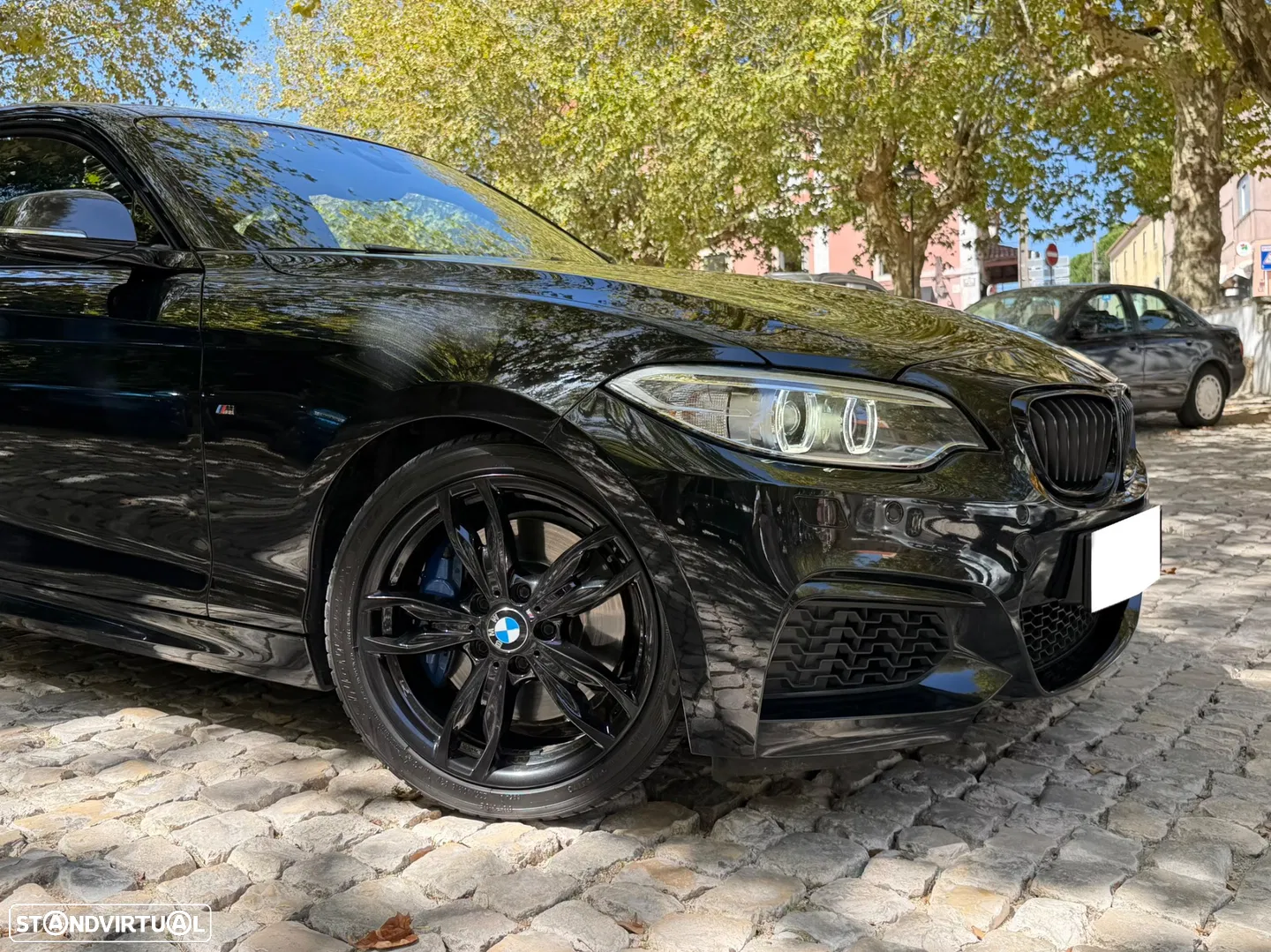 2014 BMW Série 2 Standard, photograph 2