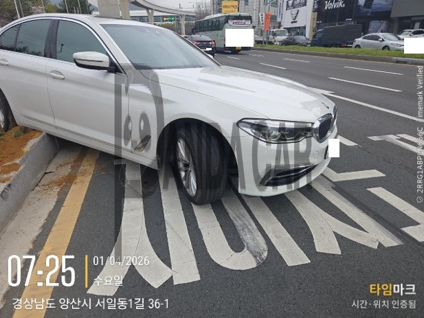 2020 BMW 520d Luxury, photograph 3