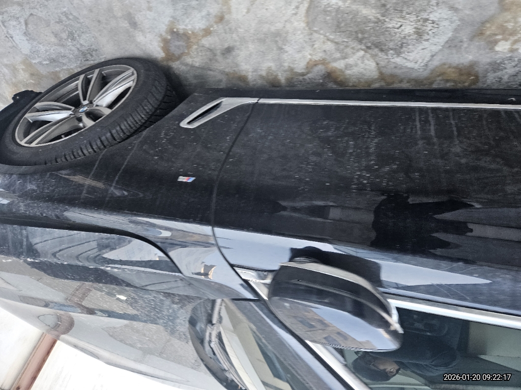 2018 BMW 730d xDrive WLTP, photograph 4