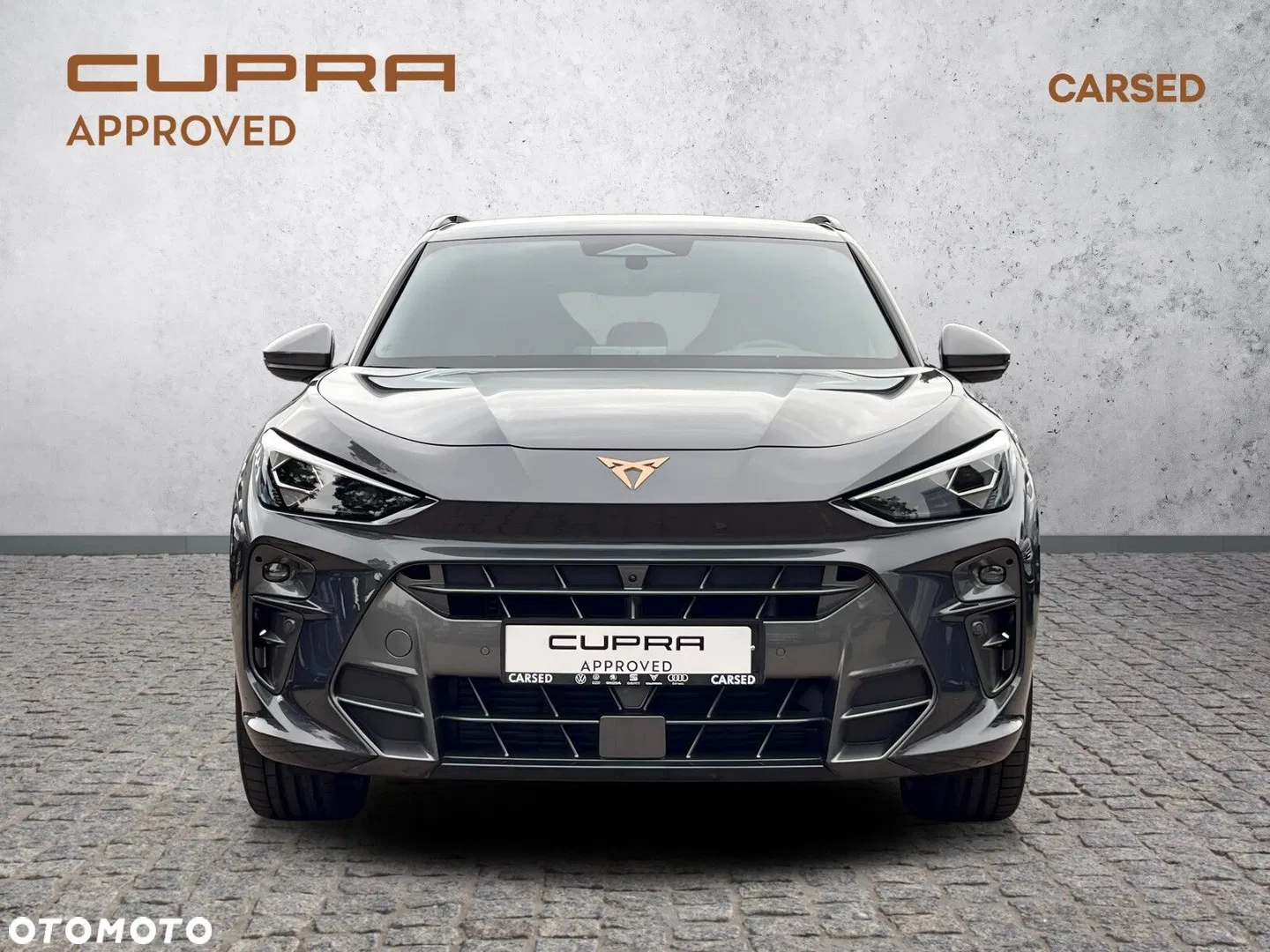 2025 Cupra Terramar 2.0 TSI 4Drive VZ DSG, photograph 10