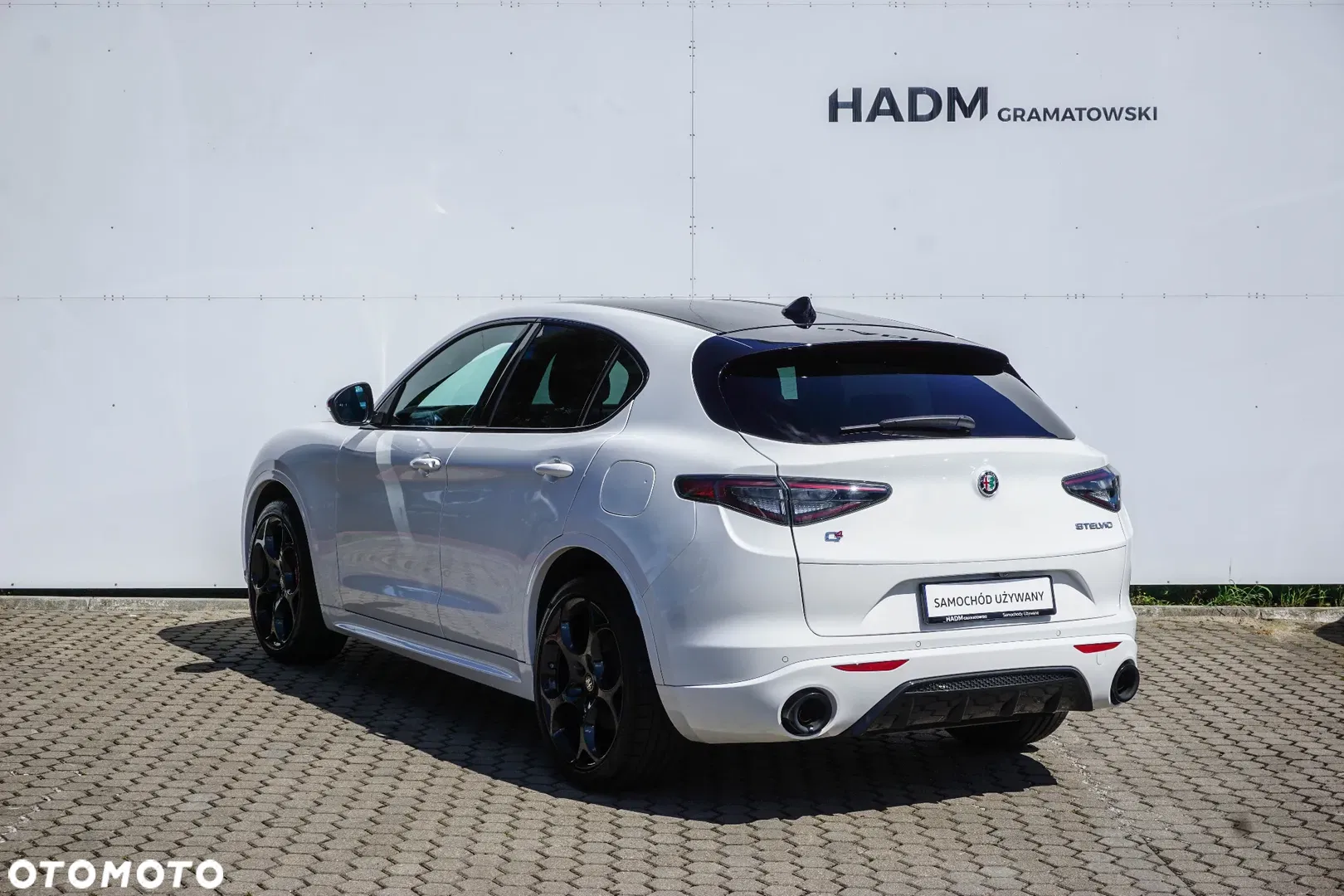 2024 Alfa Romeo Stelvio 2.0 Turbo Tributo Italiano Q4, photograph 6