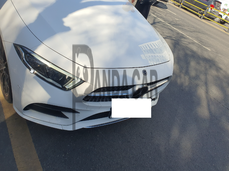 2019 Mercedes-Benz CLS400 d 4Matic, photograph 6