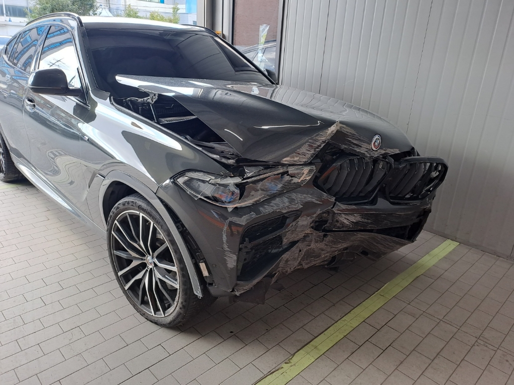 2023 BMW X6 xDrive40d model 2024, photograph 6