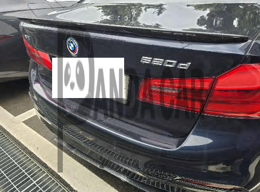 2020 BMW 520d xDrive M Sport Package, photograph 5