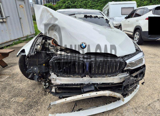 2019 BMW 530i xDrive Luxury, photograph 1