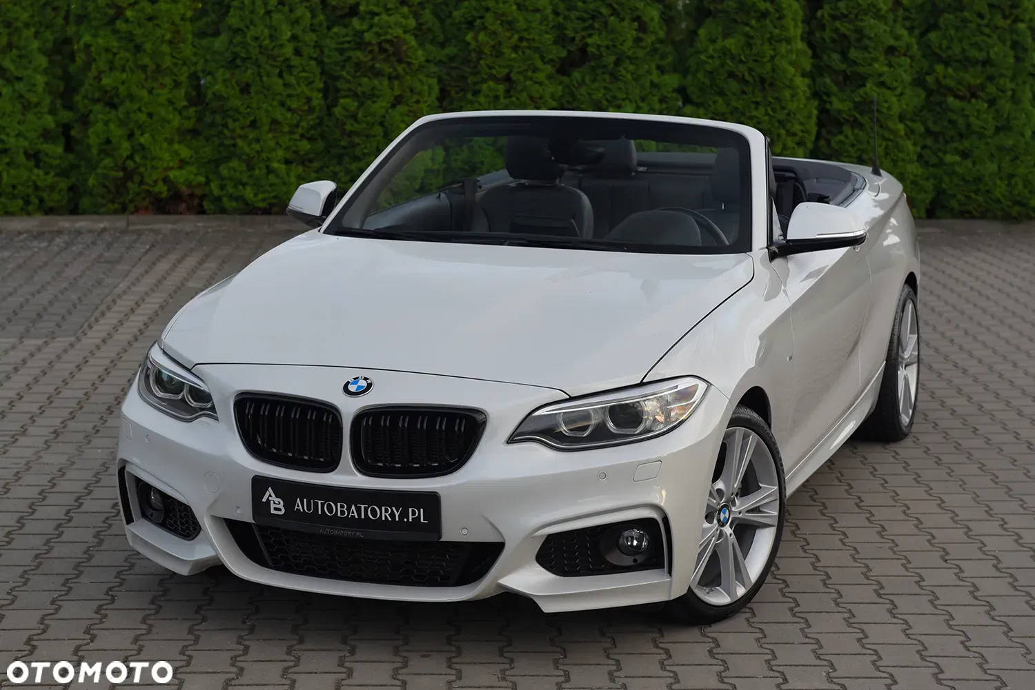 2015 BMW Seria 2 220d M Sport, photograph 6