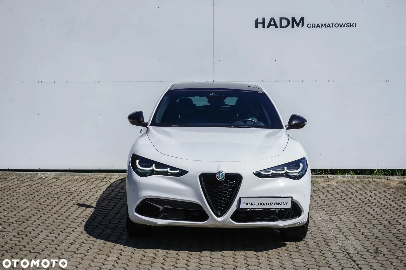 2024 Alfa Romeo Stelvio 2.0 Turbo Tributo Italiano Q4, photograph 2
