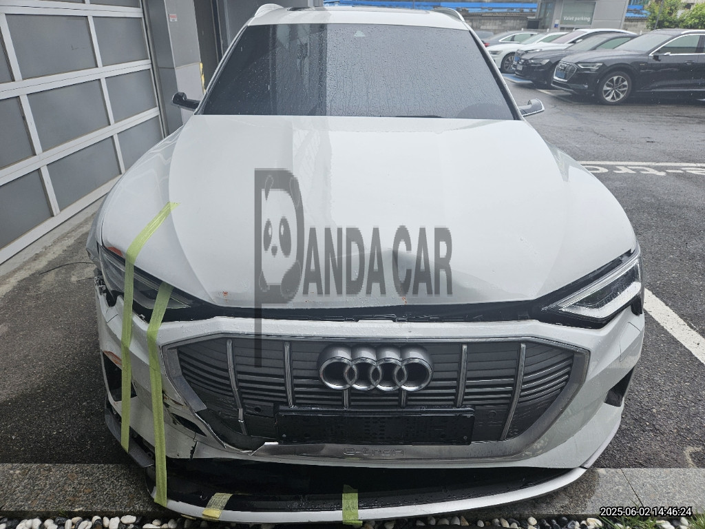 2022 Audi e-tron 50 quattro, photograph 1