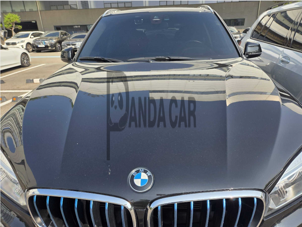 2018 BMW X5 xDrive40e iPerformance, photograph 1