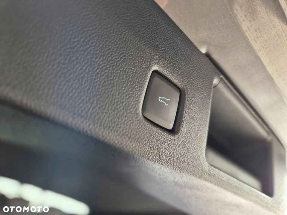 2025 Ford Kuga, photograph 12