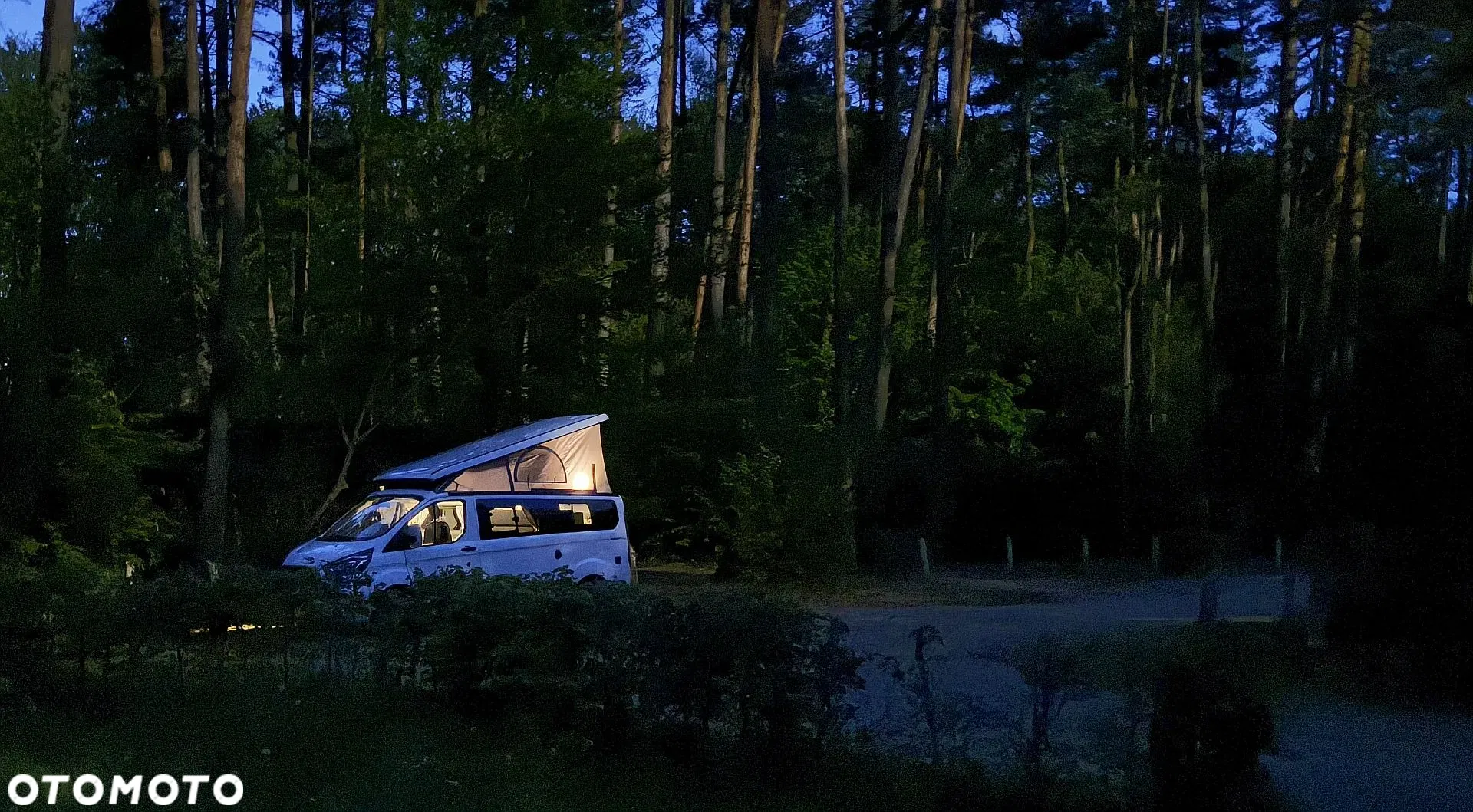 2021 Ford Transit Custom 320 L1H1 Trend (bryg.), photograph 10