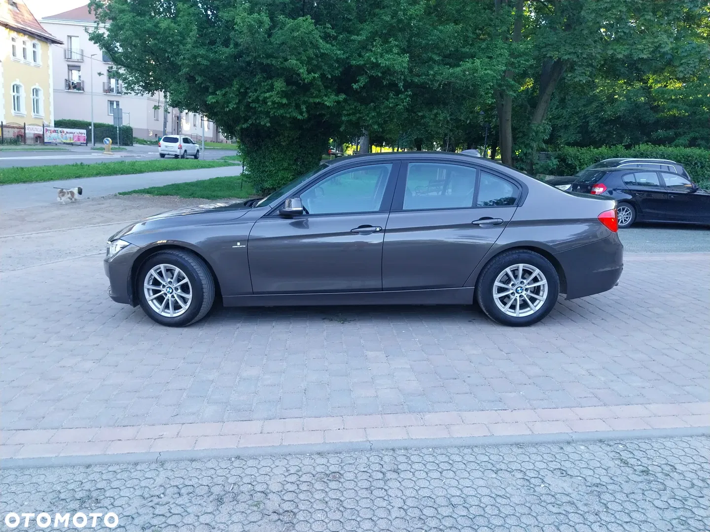 2015 BMW Seria 3 316d Advantage, photograph 5