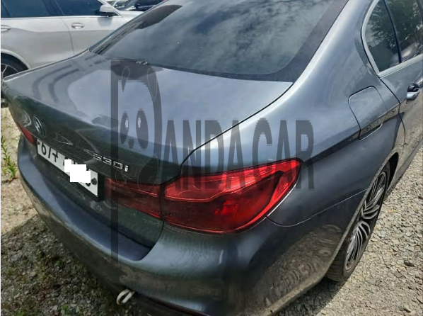 2019 BMW 530i xDrive M Sport Package Plus, photograph 3