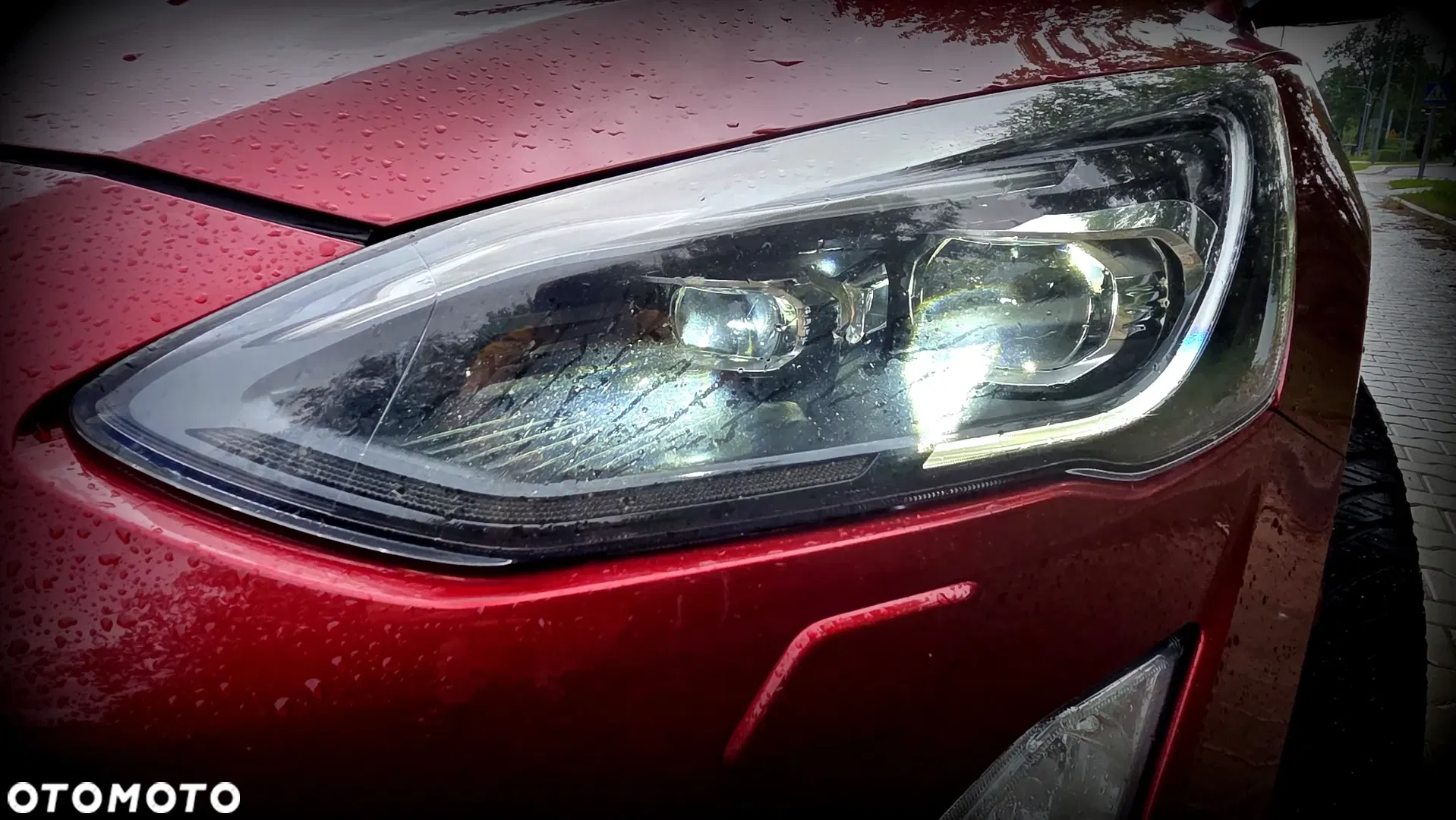 2019 Ford Focus 2.0 TDCi Titanium ASS PowerShift, photograph 8