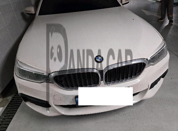 2020 BMW 520d xDrive M Sport Package, photograph 1