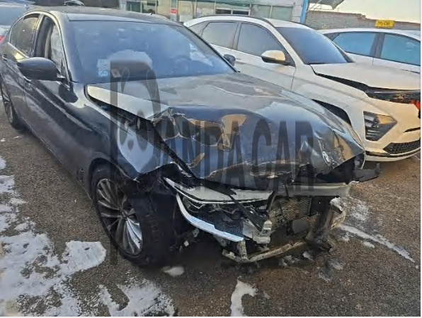 2020 BMW 520d Luxury, photograph 4