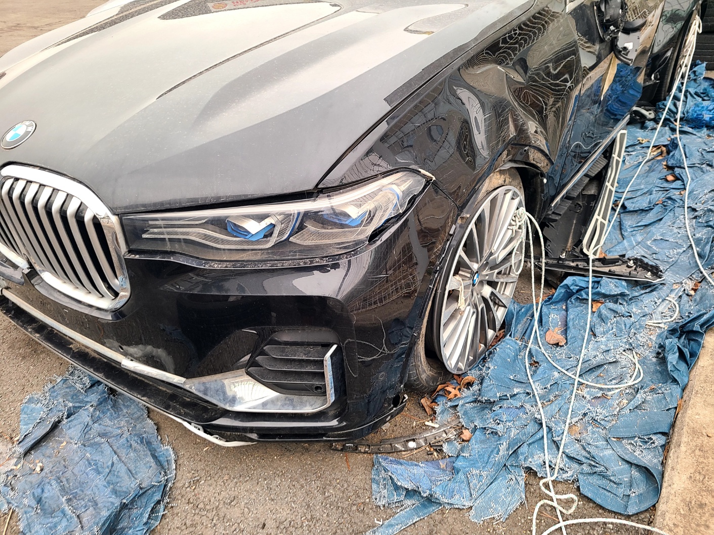 2020 BMW X7 xDrive30d Design Pure Excellence, photograph 10