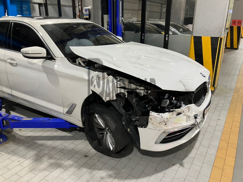 2019 BMW 520d xDrive Luxury, photograph 5