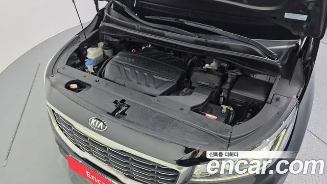 2018 Kia Canival 9-Seater Noblesse, photograph 4