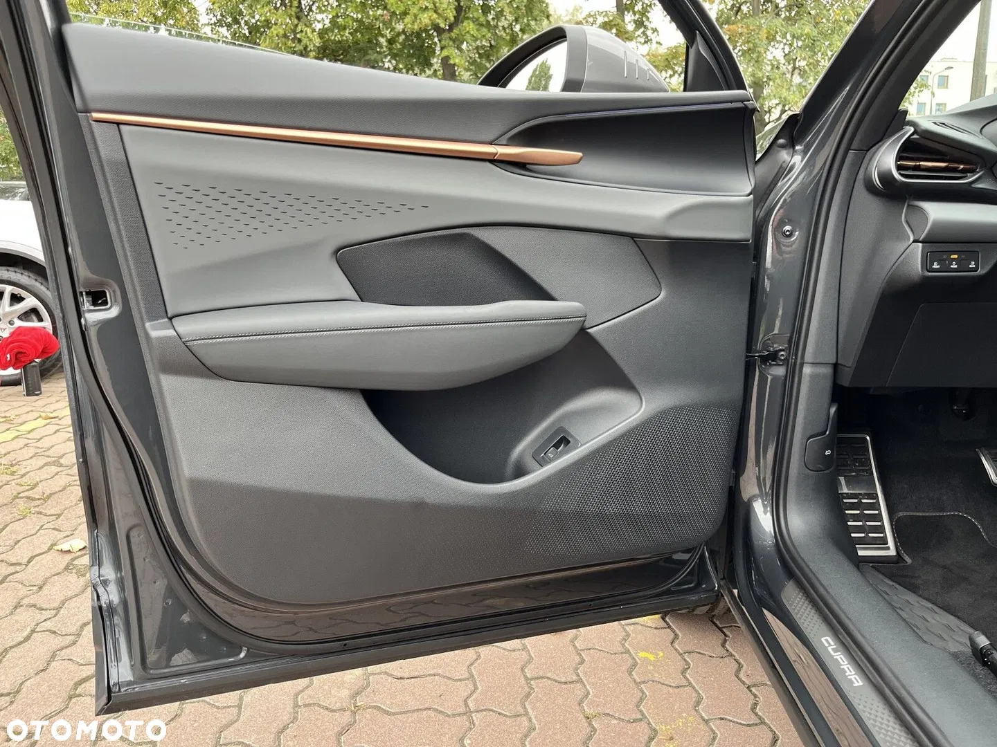 2025 Cupra Terramar 2.0 TSI 4Drive VZ DSG, photograph 11