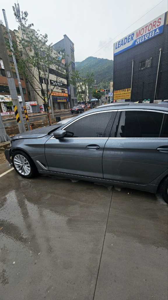 2020 BMW 530i xDrive Luxury, photograph 5