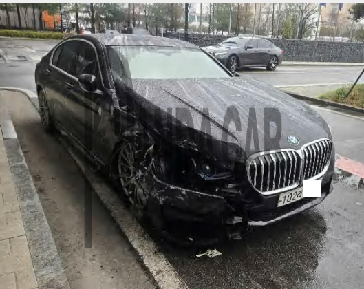 2020 BMW 745e iPerformance M Sport Package(20), photograph 1