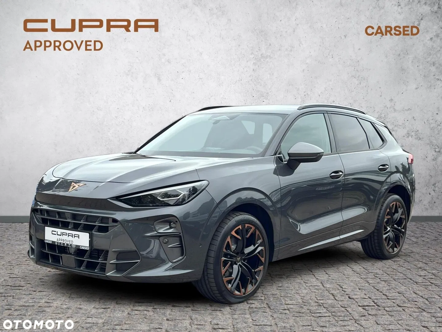 2025 Cupra Terramar 2.0 TSI 4Drive VZ DSG, photograph 1