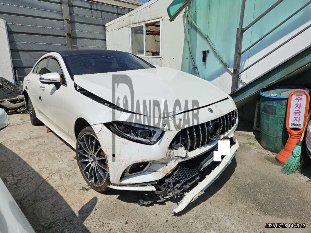2019 Mercedes-Benz CLS450 4Matic, photograph 5