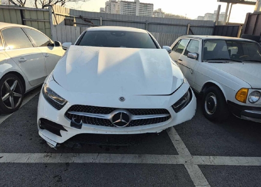 2020 Mercedes-Benz CLS300 d, photograph 4