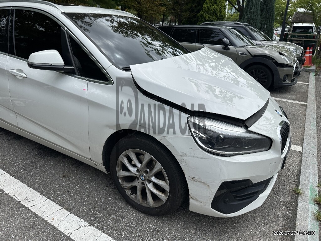 2020 BMW Active Tourer JOY RDE, photograph 4