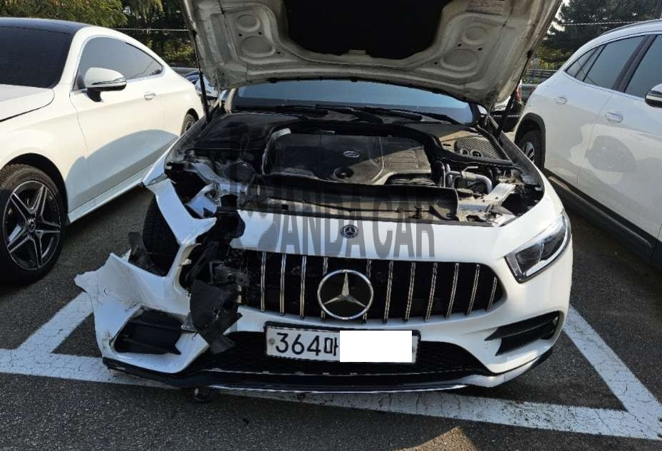 2019 Mercedes-Benz CLS450 4Matic, photograph 1