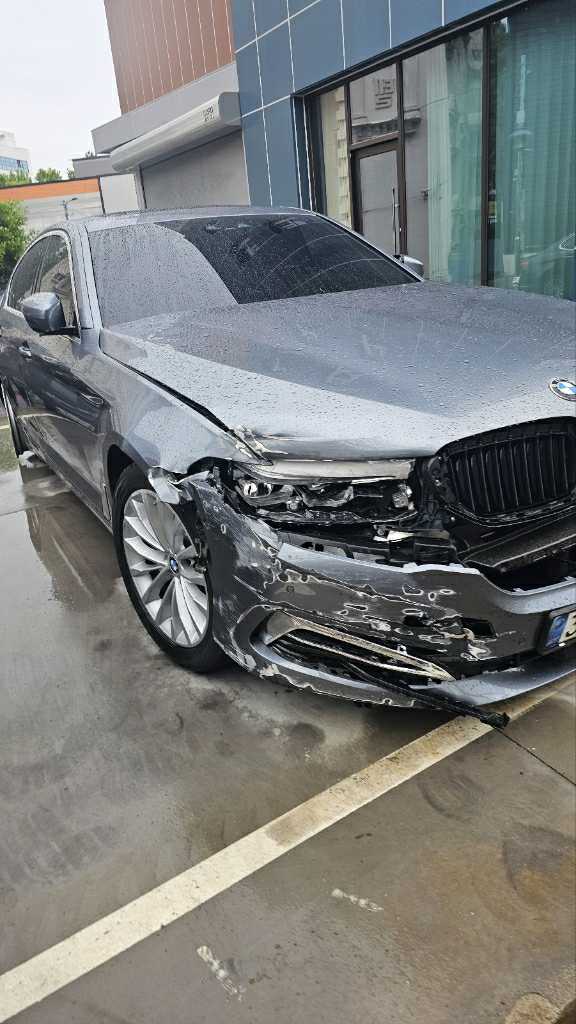 2020 BMW 530i xDrive Luxury, photograph 3