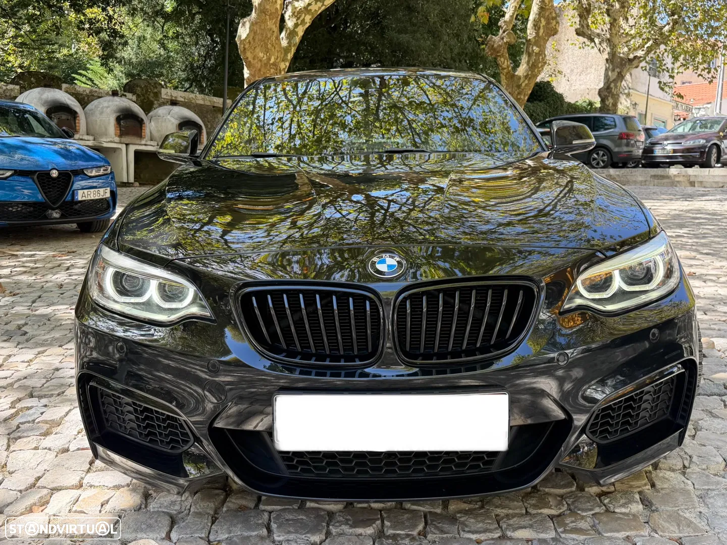 2014 BMW Série 2 Standard, photograph 9