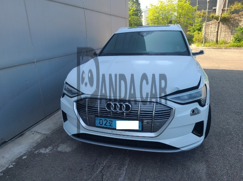 2020 Audi e-tron 55 quattro, photograph 1