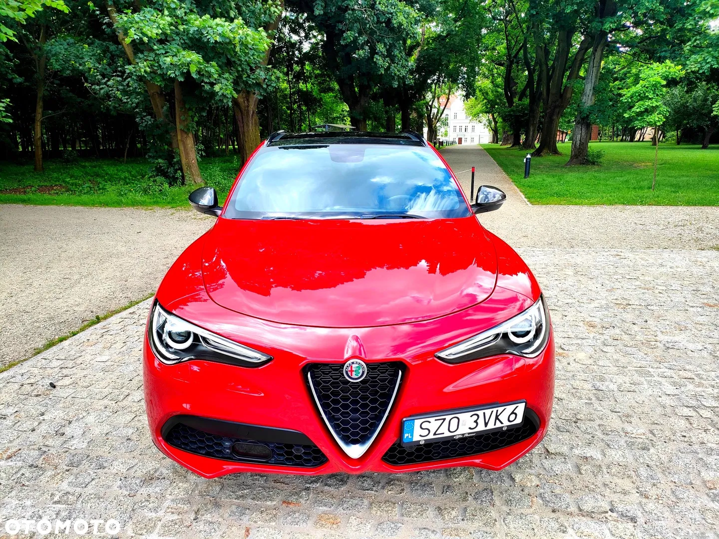 2019 Alfa Romeo Stelvio 2.0 Turbo 16V AT8-Q4 Ti, photograph 3