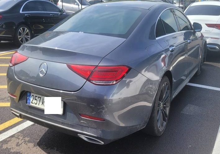 2019 Mercedes-Benz CLS400 d 4Matic, photograph 6