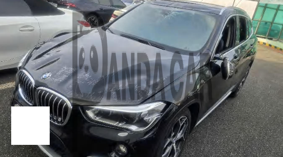 2019 BMW X1 xDrive20d xLine, photograph 2