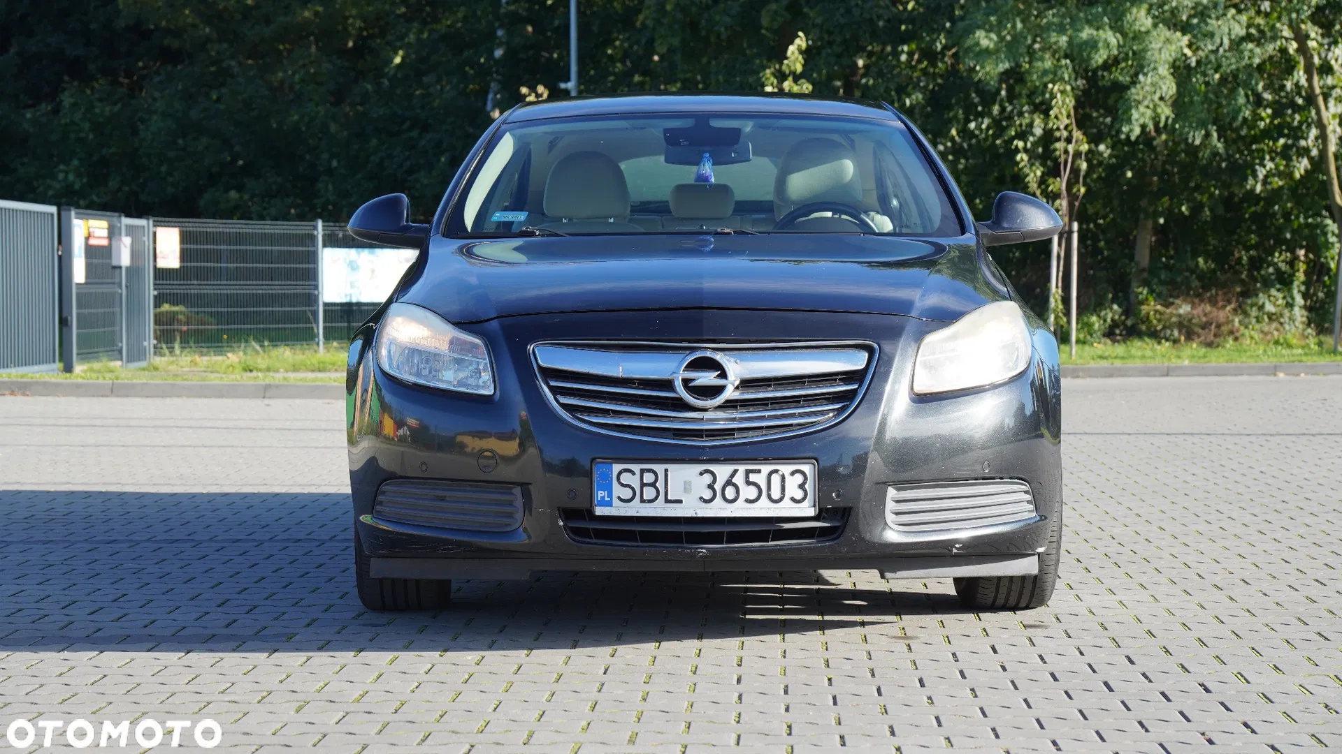 2010 Opel Insignia 1.8, photograph 2