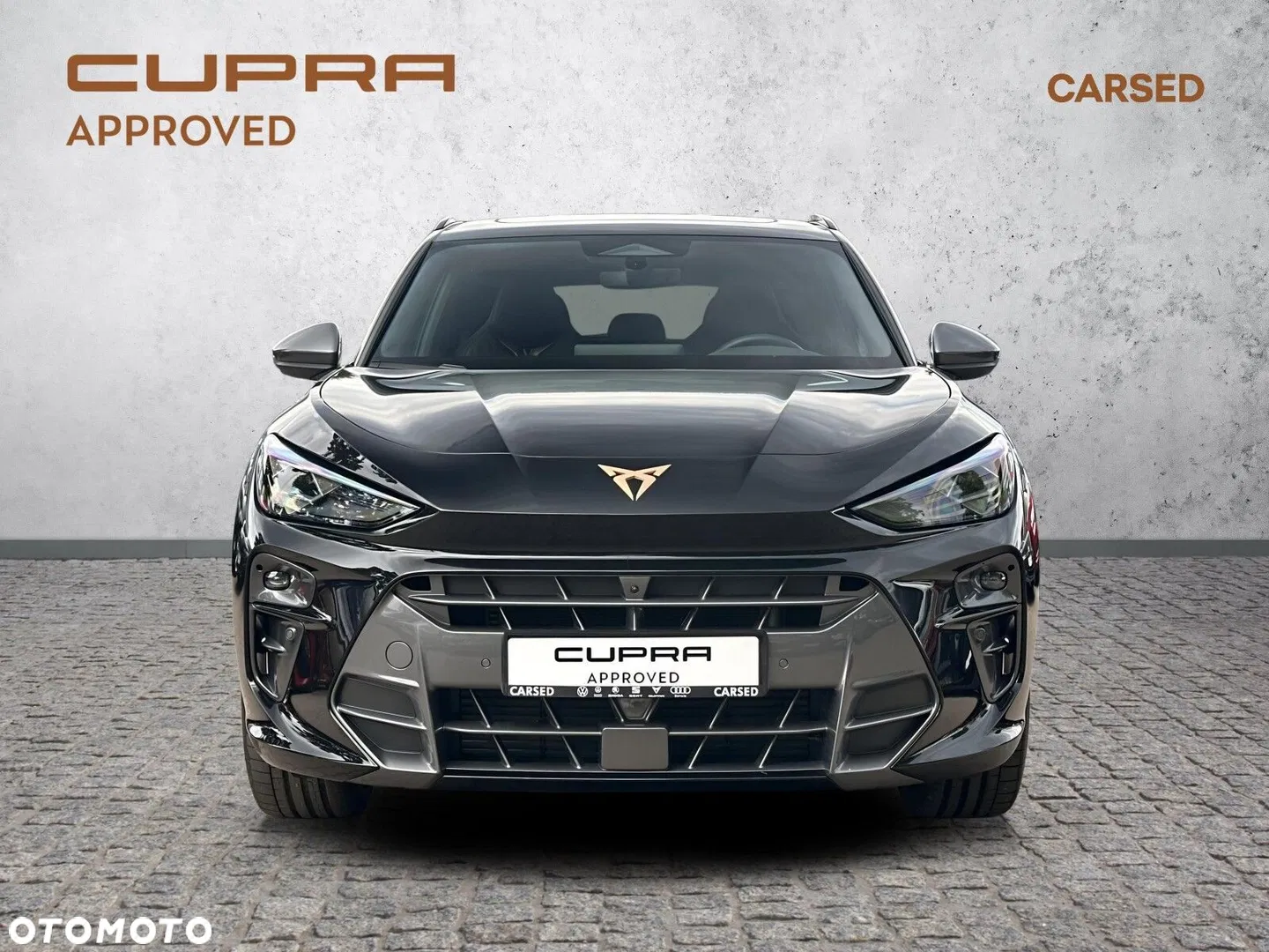 2025 Cupra Terramar 2.0 TSI 4Drive VZ DSG, photograph 10