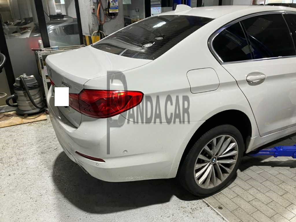 2019 BMW 520d xDrive Luxury, photograph 4